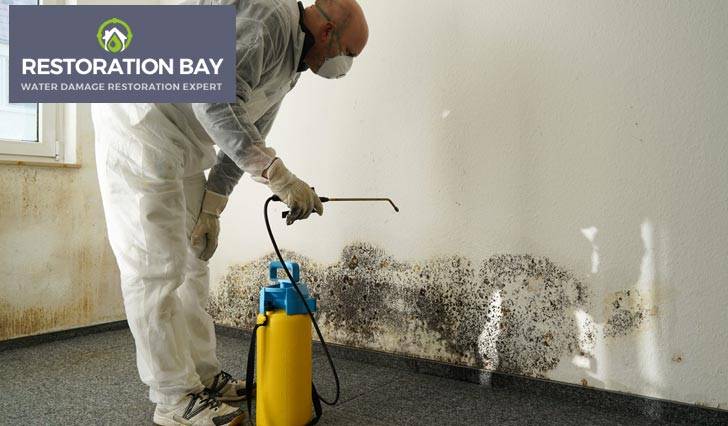 Mold Remediation