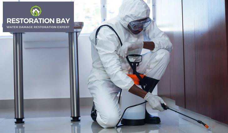 Professional cleaner systematically disinfecting a living room with safe chemicals.