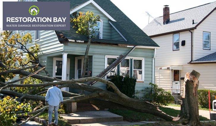 Exterior of a house damaged by fallen trees after a severe storm